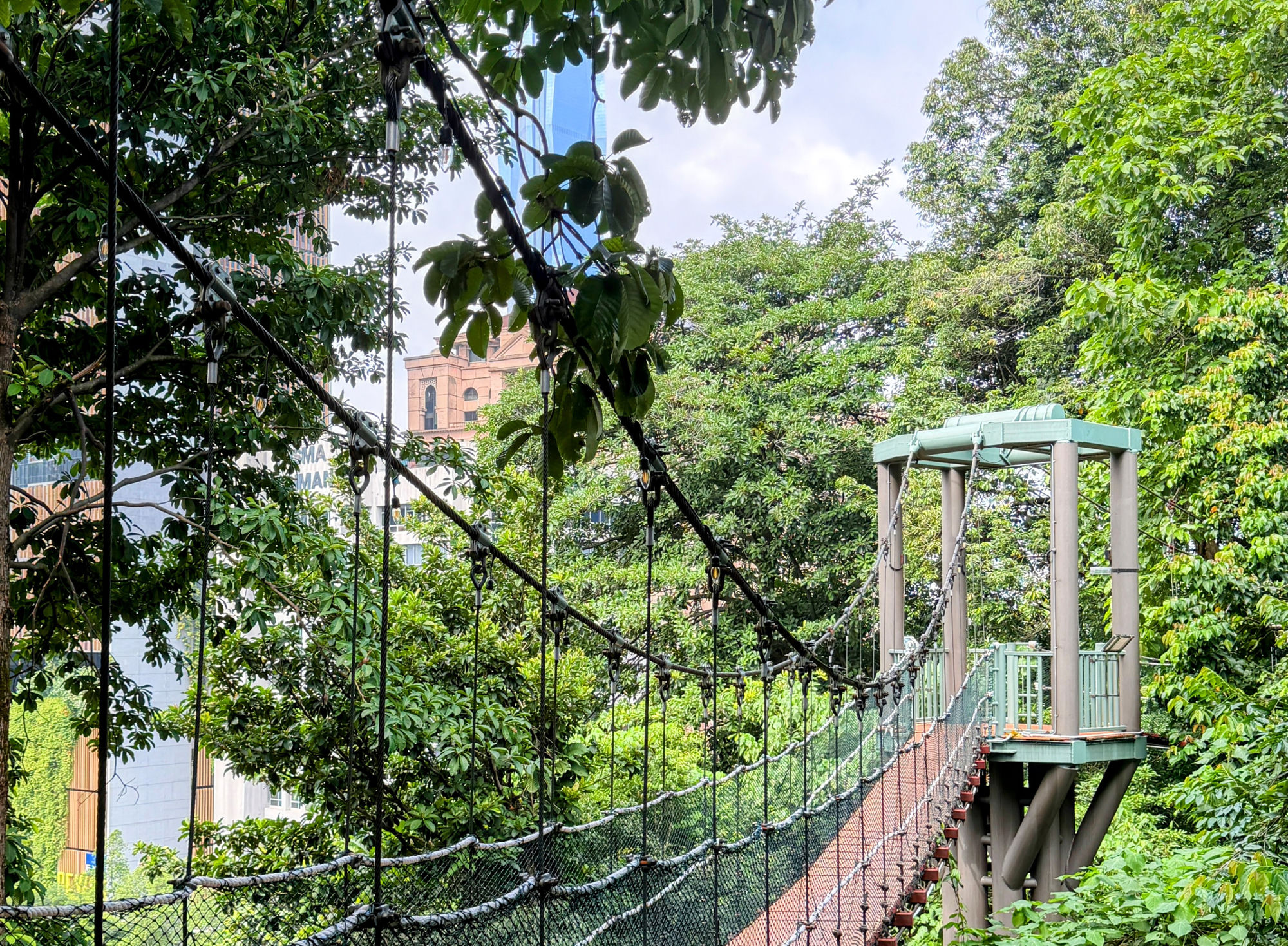 Canopy Walk im KL Forest Eco Park — Dschungel mitten in Kuala Lumpur