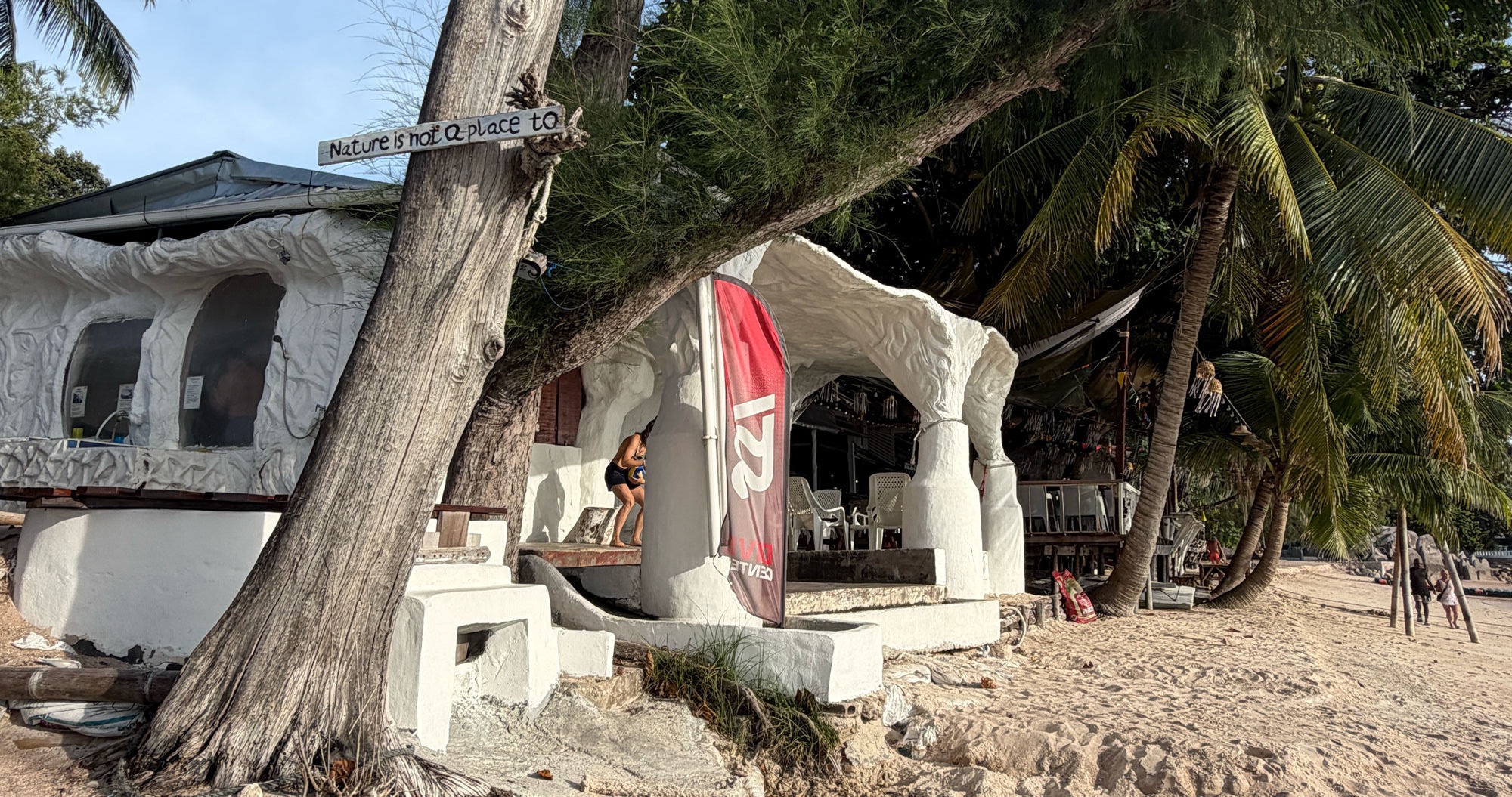 Eingang der Rainbow Fish Divers Tauchschule auf Koh Tao — weiße Felsarchitektur, Palmen, RFD-Banner