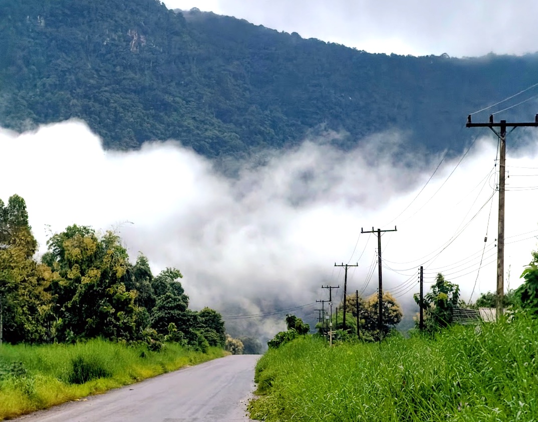 Nebelverhangene Berge und grüne Landstraße auf dem Weg zum Houy-Kong-View-Homestay auf dem Bolaven-Plateau