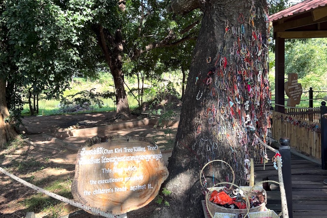 Der Killing Tree im Choeung-Ek-Memorial, der Stamm ist mit tausenden Freundschaftsarmbändern von Besuchern bedeckt